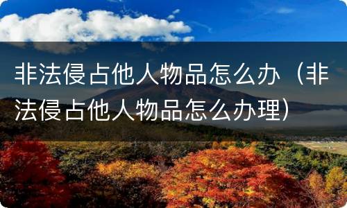 非法侵占他人物品怎么办（非法侵占他人物品怎么办理）