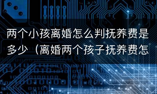 两个小孩离婚怎么判抚养费是多少（离婚两个孩子抚养费怎么判）