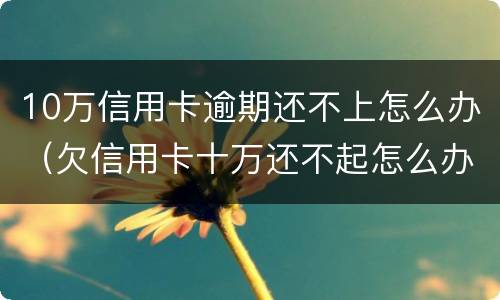 10万信用卡逾期还不上怎么办（欠信用卡十万还不起怎么办）