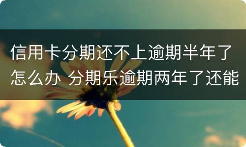 信用卡分期还不上逾期半年了怎么办 分期乐逾期两年了还能办信用卡