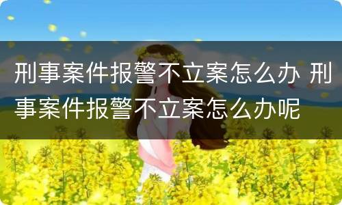 刑事案件报警不立案怎么办 刑事案件报警不立案怎么办呢