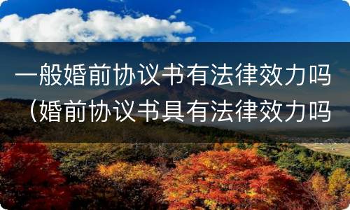 一般婚前协议书有法律效力吗（婚前协议书具有法律效力吗）