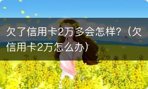 欠了信用卡2万多会怎样?（欠信用卡2万怎么办）