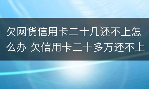 欠网货信用卡二十几还不上怎么办 欠信用卡二十多万还不上怎么办