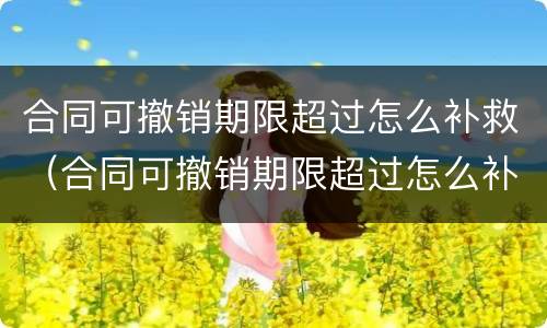 合同可撤销期限超过怎么补救（合同可撤销期限超过怎么补救呢）