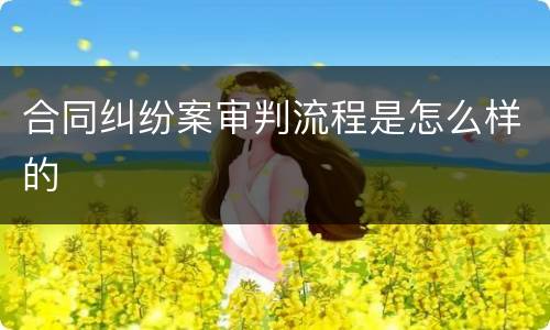 合同纠纷案审判流程是怎么样的