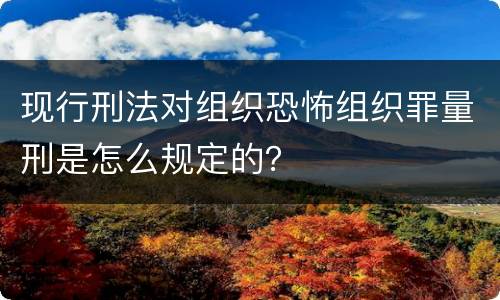 现行刑法对组织恐怖组织罪量刑是怎么规定的？