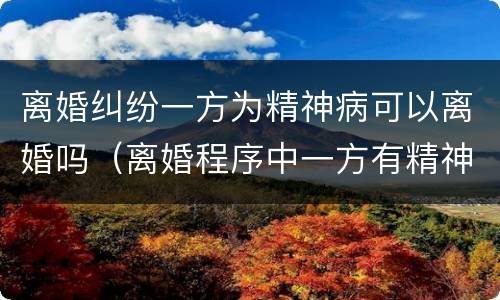 离婚纠纷一方为精神病可以离婚吗（离婚程序中一方有精神疾病）