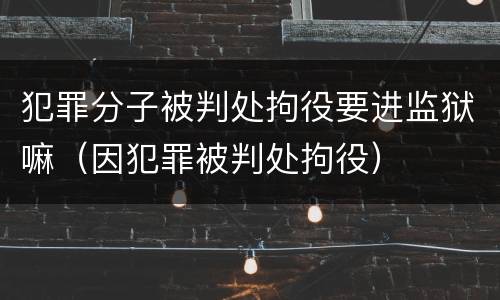 犯罪分子被判处拘役要进监狱嘛（因犯罪被判处拘役）