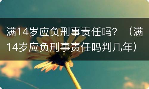 满14岁应负刑事责任吗？（满14岁应负刑事责任吗判几年）