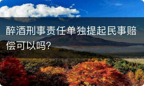 醉酒刑事责任单独提起民事赔偿可以吗？