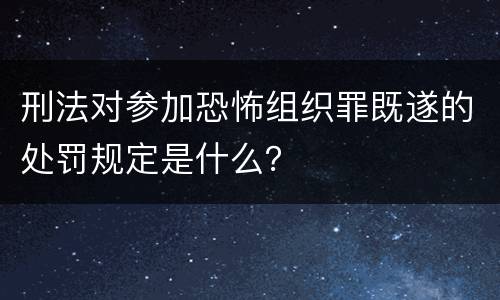 刑法对参加恐怖组织罪既遂的处罚规定是什么？