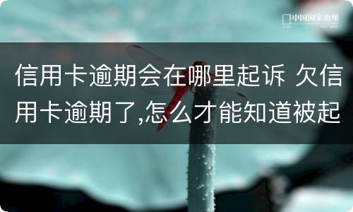 信用卡逾期会在哪里起诉 欠信用卡逾期了,怎么才能知道被起诉了