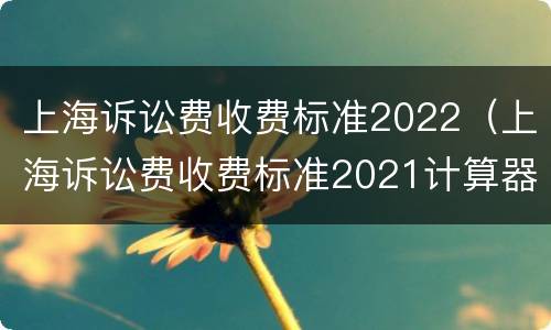 上海诉讼费收费标准2022（上海诉讼费收费标准2021计算器）