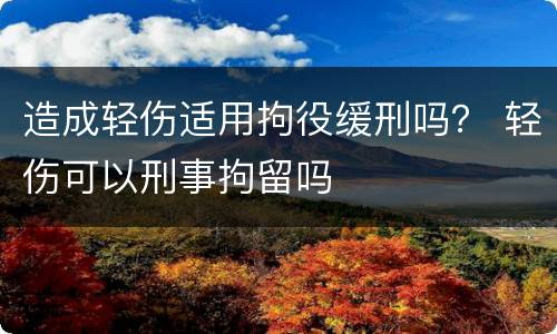 造成轻伤适用拘役缓刑吗？ 轻伤可以刑事拘留吗