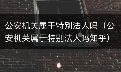公安机关属于特别法人吗（公安机关属于特别法人吗知乎）