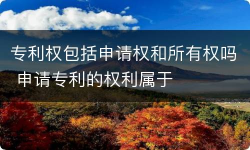 专利权包括申请权和所有权吗 申请专利的权利属于