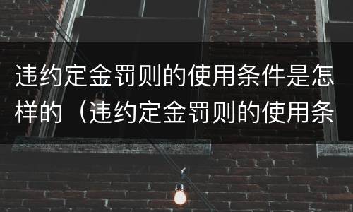 违约定金罚则的使用条件是怎样的（违约定金罚则的使用条件是怎样的规定）