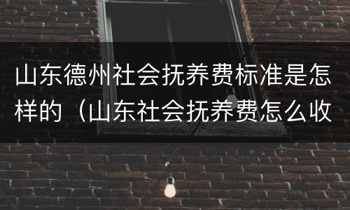 山东德州社会抚养费标准是怎样的（山东社会抚养费怎么收）