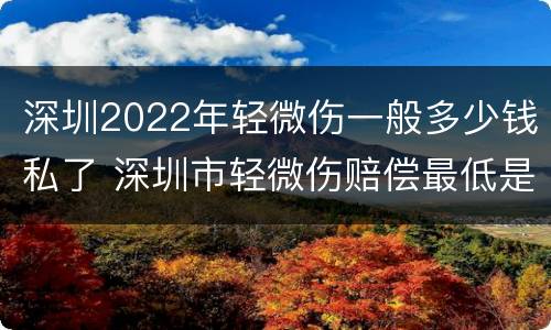 深圳2022年轻微伤一般多少钱私了 深圳市轻微伤赔偿最低是多少