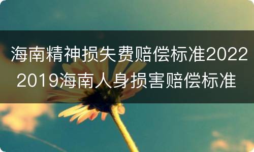 海南精神损失费赔偿标准2022 2019海南人身损害赔偿标准