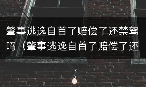 肇事逃逸自首了赔偿了还禁驾吗（肇事逃逸自首了赔偿了还禁驾吗怎么办）