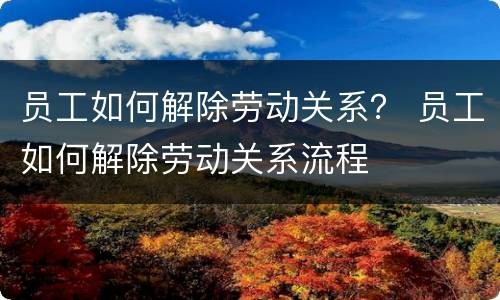 员工如何解除劳动关系？ 员工如何解除劳动关系流程