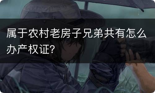 属于农村老房子兄弟共有怎么办产权证？