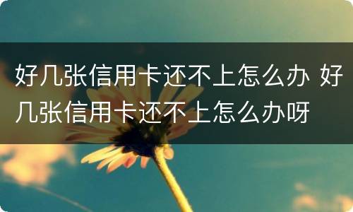 好几张信用卡还不上怎么办 好几张信用卡还不上怎么办呀