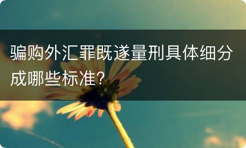 骗购外汇罪既遂量刑具体细分成哪些标准?
