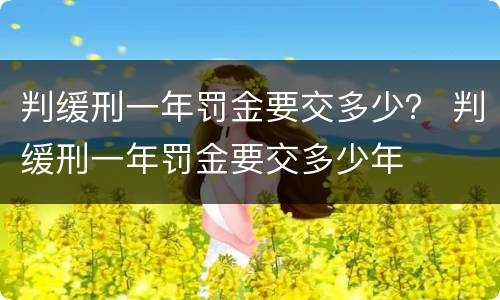 判缓刑一年罚金要交多少？ 判缓刑一年罚金要交多少年