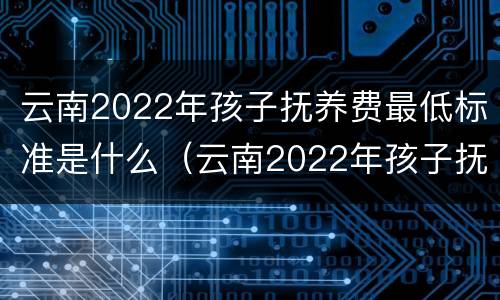 云南2022年孩子抚养费最低标准是什么（云南2022年孩子抚养费最低标准是什么呢）