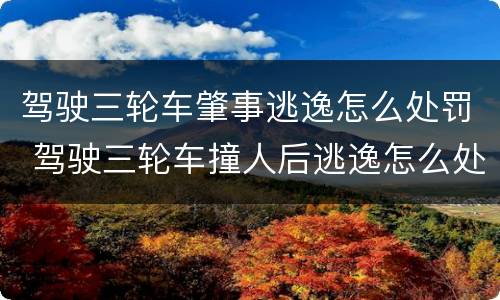 驾驶三轮车肇事逃逸怎么处罚 驾驶三轮车撞人后逃逸怎么处罚