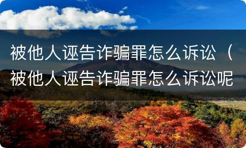 被他人诬告诈骗罪怎么诉讼（被他人诬告诈骗罪怎么诉讼呢）