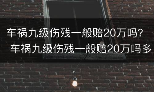 车祸九级伤残一般赔20万吗？ 车祸九级伤残一般赔20万吗多少钱