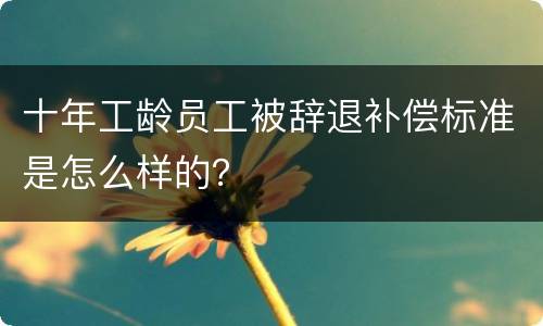 十年工龄员工被辞退补偿标准是怎么样的？