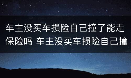 车主没买车损险自己撞了能走保险吗 车主没买车损险自己撞了能走保险吗