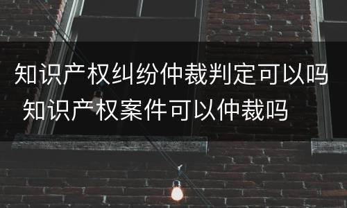 知识产权纠纷仲裁判定可以吗 知识产权案件可以仲裁吗