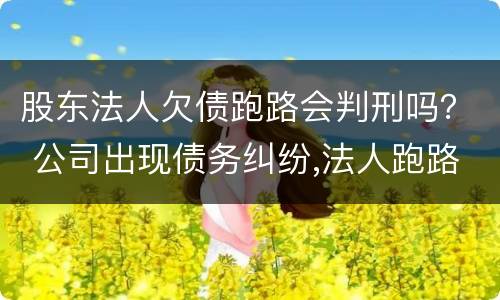 股东法人欠债跑路会判刑吗？ 公司出现债务纠纷,法人跑路,会影响股东吗