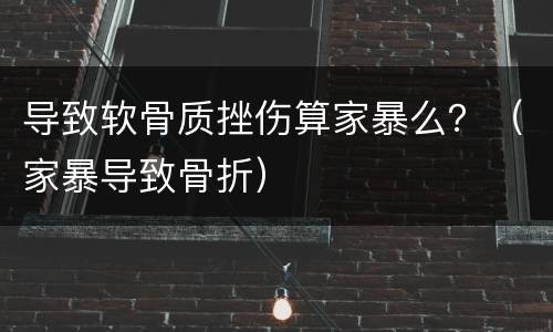 导致软骨质挫伤算家暴么？（家暴导致骨折）