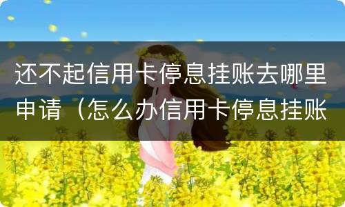 还不起信用卡停息挂账去哪里申请（怎么办信用卡停息挂账）