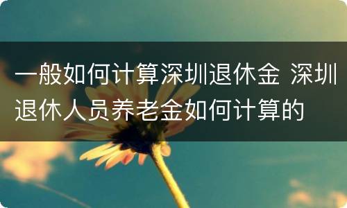 一般如何计算深圳退休金 深圳退休人员养老金如何计算的
