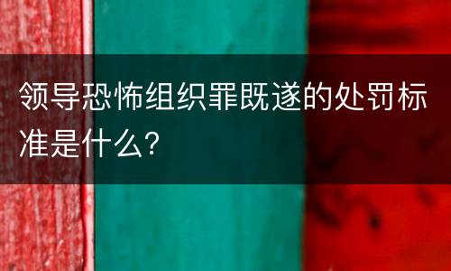 领导恐怖组织罪既遂的处罚标准是什么？
