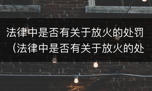 法律中是否有关于放火的处罚（法律中是否有关于放火的处罚规定）