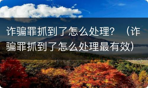 诈骗罪抓到了怎么处理？（诈骗罪抓到了怎么处理最有效）
