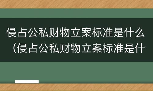 侵占公私财物立案标准是什么（侵占公私财物立案标准是什么意思）