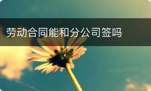 劳动合同能和分公司签吗