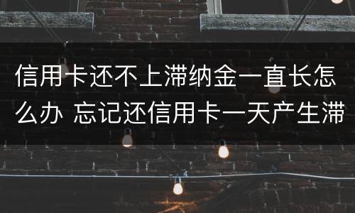 信用卡还不上滞纳金一直长怎么办 忘记还信用卡一天产生滞纳金