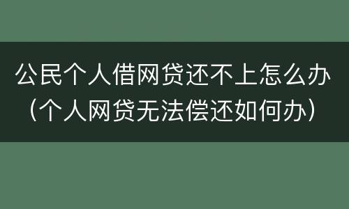 公民个人借网贷还不上怎么办（个人网贷无法偿还如何办）