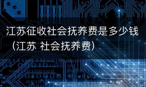江苏征收社会抚养费是多少钱（江苏 社会抚养费）
